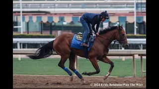 Kentucky Derby Radar: Florida Derby, Arkansas Derby Previews