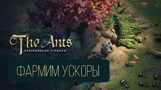 The Ants Underground Kingdom. Фармим ускоры на огурцах по субботам.