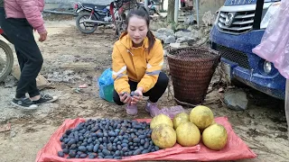 Harvest Palm Fruit & Grapefruit goes to the market sell goods | Ly Thi Tam