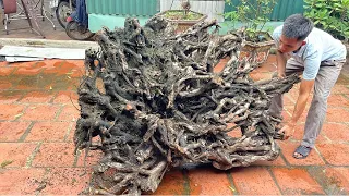 Watching A Carpenter Turn A Discarded Tree Stump Into Something Amazing