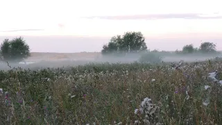 «За тихой рекою» муз. и сл. Сергея Трофимова исп. Елена Комарова группа «Калина Фолк».