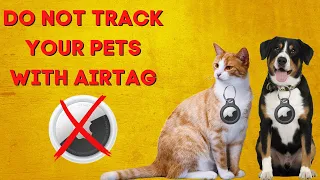 Can You Use AirTag for Cats and Dogs? Is It Safe? Apple Airtag for Pets Review & Alternatives