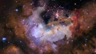 Celestial Fireworks: Star Cluster Westerlund 2