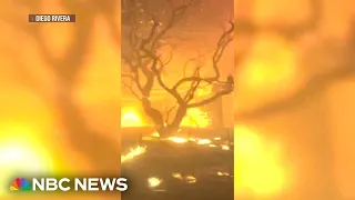 New details of the devastating Lahaina wildfire that killed over 100 people