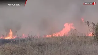 Противопожарные меры усилят в Волгоградской области