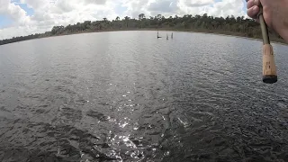 Topwater explosion on the H20 Express Double Plop