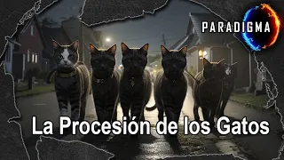 283 - LA PROCESIÓN DE LOS GATOS