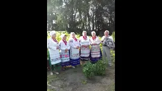 Гурт " Скопецькі  барви "🌻              с. Веселинівка