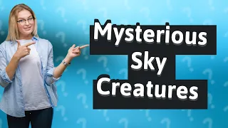 What Are the 10 Mysterious Sky Creatures We Can't Explain?