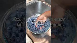 How to Clean your Berries with Baking Soda #blueberry #cleaningtips #bakingsoda