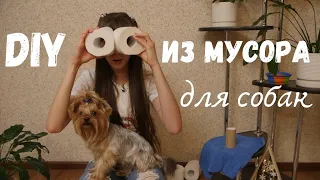 🧻 DIY игрушка для собак за 5 минут из подручных материалов | своими руками и лапками из мусора kong