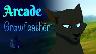 ЗАКАЗ Коты Воители Грач: Arcade [Даниэла]