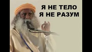 Я не тело, Я не разум | #Садхгуру