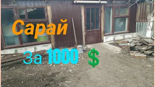 Прошло 5 Дней Как Запустил Бактерии || Сарай  за 1000 $ !?