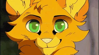 Counting Stars Warrior Cats