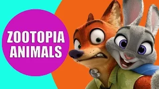 Zootopia Nick Wilde, Judy Hopps, Mr. Big, Sloth, Chief Bogo - Disney's Zootopia Animals in Real Life