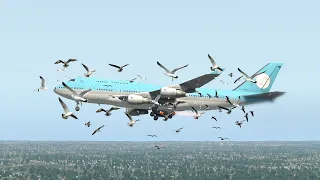 Massive Bird Strike Attacks Boeing 747 Causing Emergency Landing Crash | XP11