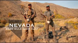 NEVADA - 2020 Early Rifle Mule Deer Hunt