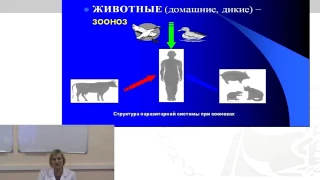 Лекция: «Понятие об эпидемическом процессе».