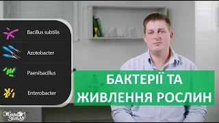 Бактерії та живлення рослин | ПРО МІКРОБИ ПРОСТО | 4 серія