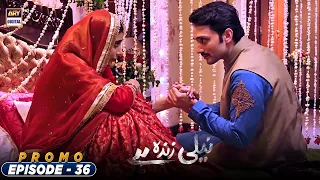 | ARY Digital Drama