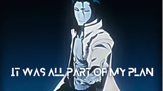 IT WAS ALL PART OF MY PLAN | AIZEN EXPLAINS ICHIGO | BLEACH