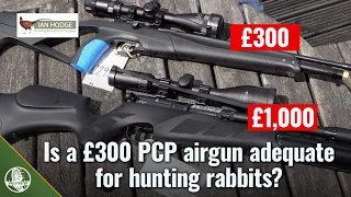 Is a £300 PCP airgun good enough for hunting rabbits?