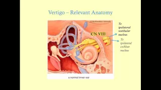 Dizziness and Vertigo - CRASH! Medical Review Series