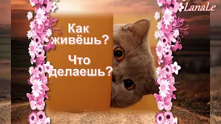 Как дела? Что делаешь?/Позитив на день!