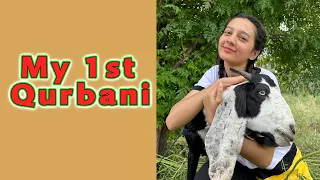 My first ever Qurbani | 30,000 ka bakra | Titu | Rabia Faisal