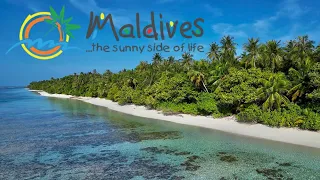 Maldives... the sunny side of life! (4K 2023)