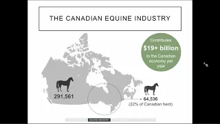 OVC Equine Research Webinar