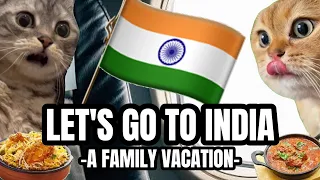 CAT MEMES: LET''S GO TO INDIA PT.1