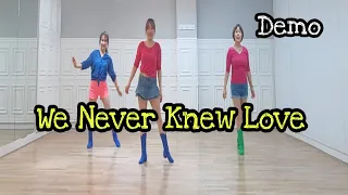 We Never Knew Love - Line Dance (Demo)/Absolute Beginner/Lee Hamilton/Gary O'Reilly/Maggie Gallagher