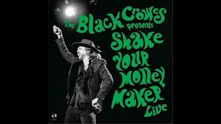 Twice As Hard (live 2023) - The Black Crowes