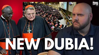 Cardinals Send ‘Dubia’ to Pope Francis!