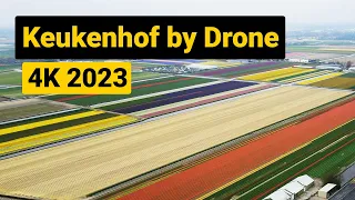 Keukenhof Gardens and Flowerfields by Drone [] 4K 2023