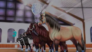 Club advertisement|Реклама клуба.Star Stable Online|Snow Queens inc.