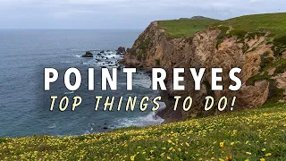 7 FANTASTIC Things to do in Point Reyes National Seashore