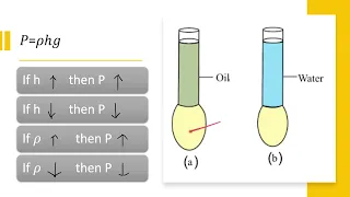 Pascal's Principle | Pressure in Fluid #physics #definition #principles #fluids #physicsvideos