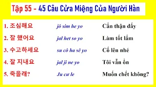 [ TẬP 55 ] 5000 CÂU TIẾNG HÀN NGẮN THÔNG DỤNG | 실제로 자주 쓰는 한국어 문장들