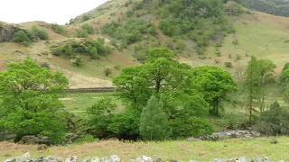 Upper south Borrowdale, Lake District, England