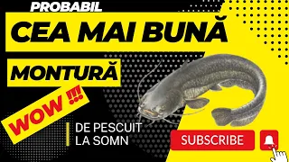 CEA MAI BUNA MONTURA DE PESCUIT LA SOMN !!!