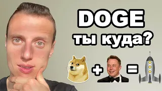 Криптовалютная схема Dogecoin и Илон Маск. Криптовалюта Doge какое будущее?