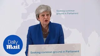 PM offers vote on second referendum if MPs back her Brexit Bill