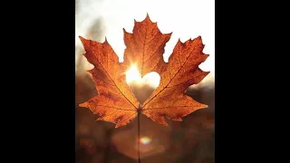 AUTUMN LEAVES Eva Cassidy - SPECIAL VIDEO - Lyrics - London Symphony Orchestra