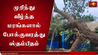 முறிந்து வீழ்ந்த மரங்களால் போக்குவரத்து ஸ்தம்பிதம்; வீடுகள் பல சேதம்