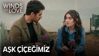 Zeynep enraptured Halil | Winds of Love Episode 47 (MULTI SUB)