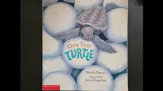 One Tiny Turtle- Read Aloud by Goofy Ruby