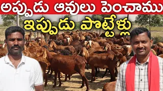 200 గొర్రెలు, పొట్టేళ్లు పెంచుతున్నం | Sheep Farming Telugu